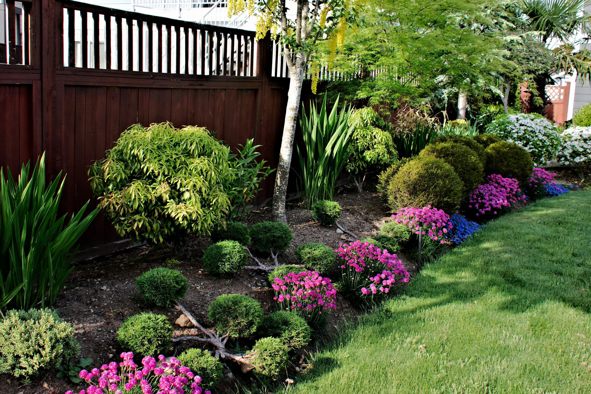 Yard clean up