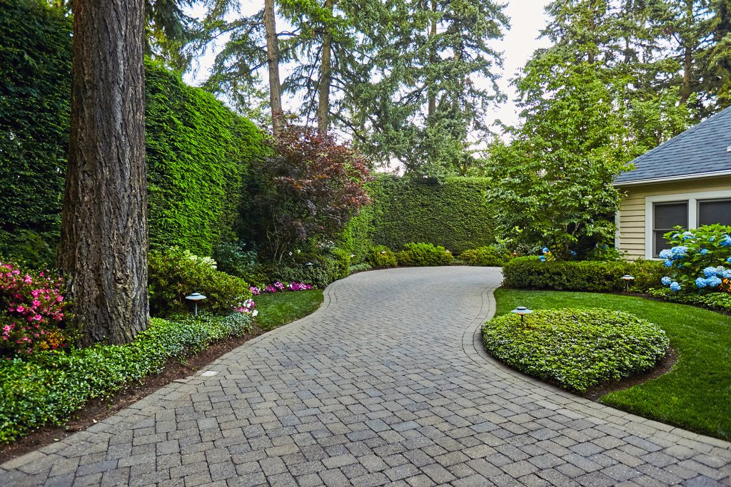 Paver patio